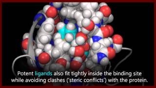 A basic introduction to drugs drug targets and molecular interactions [upl. by Antons457]