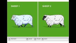 How Dolly the Sheep was cloned [upl. by Nodle365]