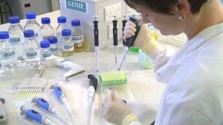 Using a Micropipette  University of Leicester [upl. by Deina]