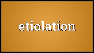 Etiolation Meaning [upl. by Dasie316]