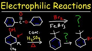 Electrophilic Aromatic Substitution Reactions Made Easy [upl. by Kathie]