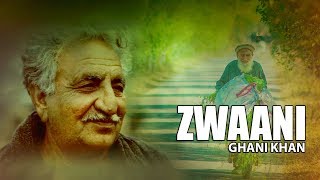 Ghani Khan Ghazal  Na Ba Tool Umar Zwaani We by Moiz Khan [upl. by Yalc]