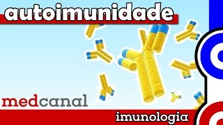 Autoimunidade  IMUNOLOGIA Vídeo 11 [upl. by Bari]