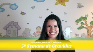 5ª SEMANA DE GRAVIDEZ [upl. by Hyacintha]