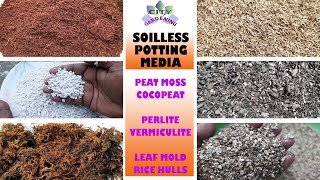 Top 6 soil less pottinggrowing media [upl. by Holly]