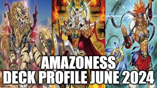 AMAZONESS DECK PROFILE JUNE 2024 YUGIOH [upl. by Attiuqaj119]