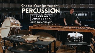 Choose Your Instrument  Percussion [upl. by Aicened]