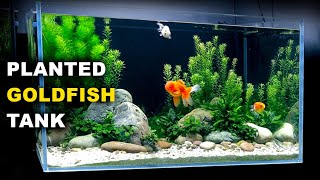 Aquascape Tutorial PLANTED GOLDFISH Aquarium The ORanchu Crew How To Full Step By Step Guide [upl. by Malcah934]