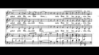 Robert Schumann  Lied Op 29 [upl. by Imhsar905]