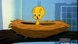 I Tawt I Taw a Puddy Tat Tweety Compilation [upl. by Biddie185]