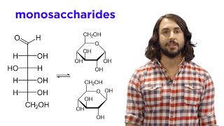 Carbohydrates Part 1 Simple Sugars and Fischer Projections [upl. by Sheehan]