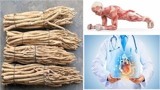 The Extraordinary Benefits of Astragalus Root The Ancient Herb of Longevity and Strength [upl. by Notgnirrac]