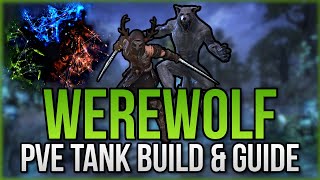 🛡️🐺 ESO  PvE Werewolf Tank Build amp Guide  Sets Skills CP  Ascending Tide [upl. by Queri45]