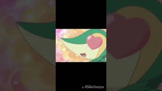 Snivy AMV  Blow [upl. by Lesko]