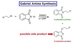 Gabriel Amine Synthesis [upl. by Annuhsal713]