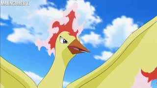 Pokemon AMV Zapdos vs Moltres vs Articuno vs Lugia [upl. by Aronael]