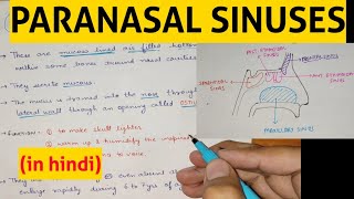 Paranasal Sinuses  1  Head amp Neck [upl. by Paxon200]