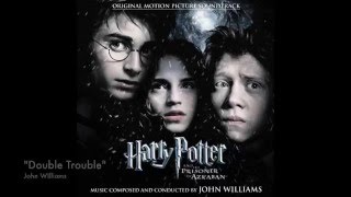 quotThe Beautiful Music of the Harry Potter Seriesquot [upl. by Hirasuna389]