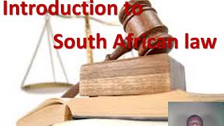 Introduction to South African Law Philani Lithandane Ndlovu [upl. by Ymeraj854]