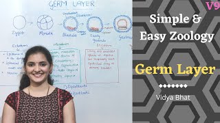 Germ Layers  Formation  Ectoderm  Endoderm  Mesoderm  Derivatives Diploblastic  Triploblastic [upl. by Jamie]