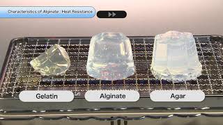 Characteristics of Alginate quotHeat Resistancequot [upl. by Steady493]