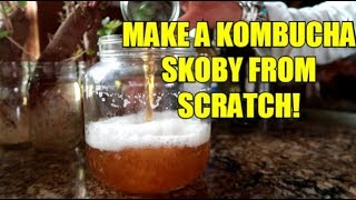 HOW TO MAKE YOUR OWN KOMBUCHA SCOBY EASY [upl. by Readus]