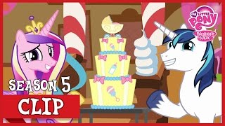 Shining Armor and Cadence are Having A BABY The One Where Pinkie Pie Knows  MLP FiM HD [upl. by Arta]