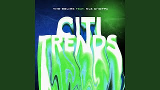 Citi Trends [upl. by Amitie270]