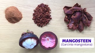 3 Ways to Use Mangosteen Rind  How to Dry Mangosteen Rind  Mangosteen Powder  Xanthone [upl. by Nigam]