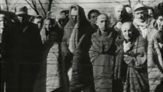 Inside Auschwitz Holocausts horrific impact [upl. by Yhtak]