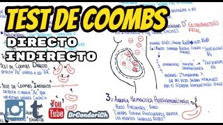 Test de Coombs prueba de antiglobulina [upl. by Sixele]