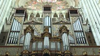 Pipe Organs  Magnificent Instruments [upl. by Simara]