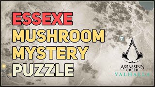 Essexe Mushroom Mystery Hallucination Challenge Fly Agaric AC Valhalla [upl. by Blase]