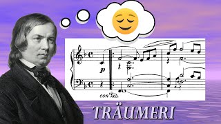 Schumann Träumerei from Kinderszenen DREAMS of CHILDHOOD  Analysis [upl. by Arotal]