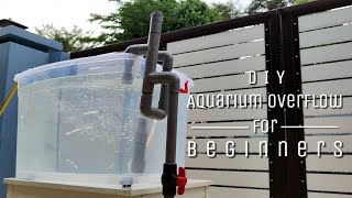 DIY Aquarium Overflow Design for Beginners Tutorial [upl. by Fogel]