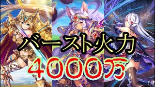 極大ダメージバーストを撃つ方法解説【神プロ神姫PROJECT】 [upl. by Farleigh]