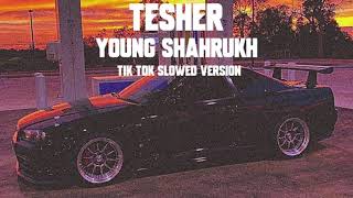 Tesher  YOUNG SHAHRUKH  Tik Tok Slowed Version  i got 500 dollars in cash [upl. by Nuli]